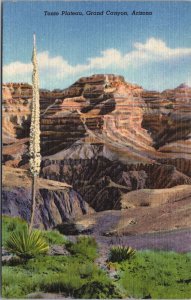 USA Tonto Plateau Grand Canyon Arizona Linen Postcard 05.29