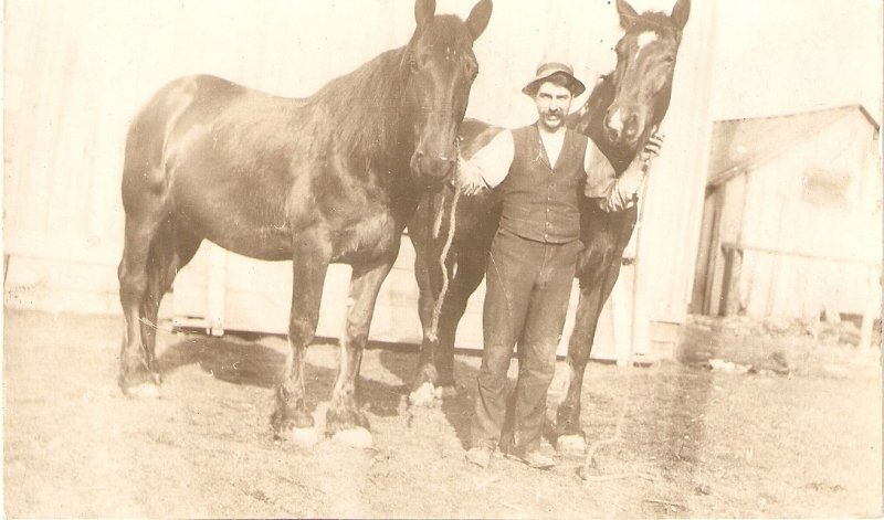 Man with two horsesOld vintage French postcard