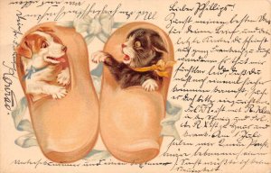 Greetings Cat and Dog Kitten Puppy in Wooden Dutch Shoes Postcard AA62289