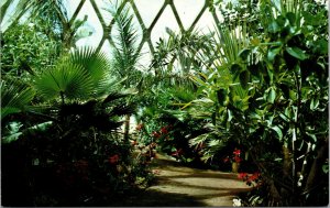 Vtg Boettcher Conservatory Botanical Garden House Denver Colorado CO Postcard