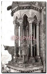 Modern Postcard Laon Oxen of the Cathedral