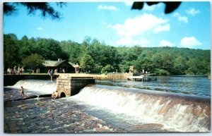 Postcard - Loleta, Allegheny National Forest - Sigel, Pennsylvania