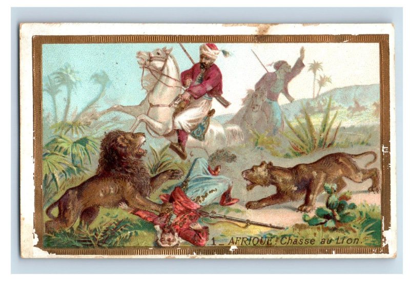 1880s French Language The Lion Hunt In Africa F159