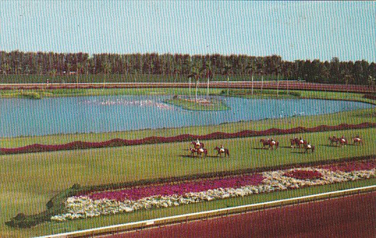 Horses Parading To Post Hialeah Race Course Miami Florida