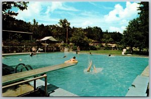 Vtg Wimberley Texas TX 7A Ranch Resort Swimming Pool View Postcard