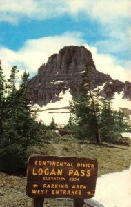 Mt. Clements LOGAN PASS Continental Divide Glacier Nat'l Park Vintage Postcard
