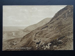 Somerset PORLOCK Hurlstone Point showing STAG / DEER c1920's Postcard by Frith