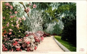 Slope Walk Magnolia On Ashley Charleston South Carolina Undivided Back Postcard