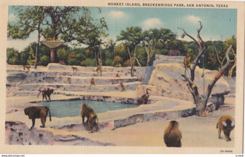 SAN ANTONIO , Texas , 1930-40s ; Monkey Island