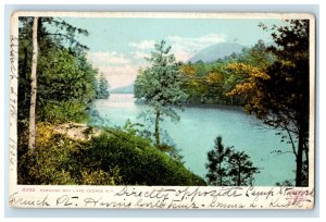 1906 Paradise Bay Lake George New York NY Bolton Landing NY Postcard 