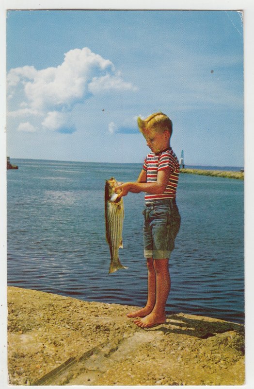 P2877 vintage photo postcard fishing cape cod boy with striped bass mass