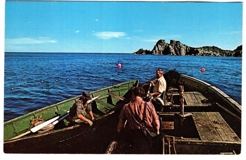 Fishermen Pulling Nets, Brigus Harbour, Conception Bay, Newfoundland