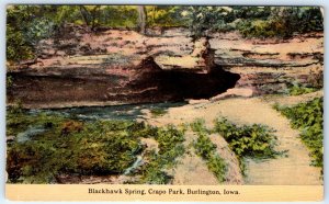 c1910s Burlington, IA Crapo Park Blackhawk Spring Nature Cave Tunnel Vtg PC A273