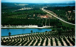 Citrus groves and lakes as seen from the top of Citrus Tower - Clermont, Florida