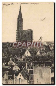 Postcard The Old Strasbourg Storks