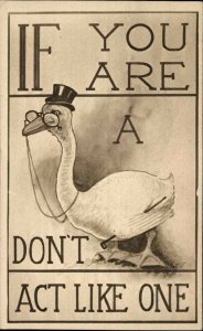 GOOSE w SPECTACLES GLASSES If you are a?  PUZZLE c1910 Postcard