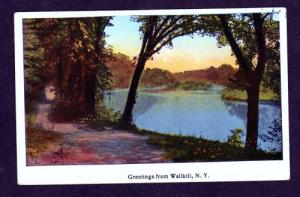 NY Greetings from WALLKILL NEW YORK Postcard PC