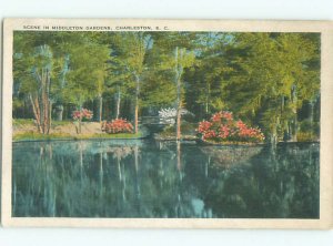 W-border MIDDLETON GARDENS SCENE Archdale - Near North Charleston SC AF7028