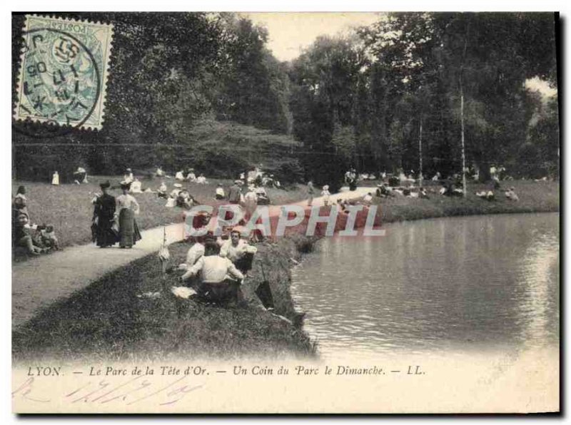 Old Postcard Lyon Parc de la Tete Or A Corner Park on Sunday