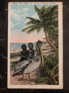 Mint Postcard Black Americana Boys Riding A pelican Waiting For You In Florida