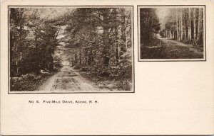 Keene NH Five Mile Drive No. 5 Multiview Unused Postcard G59