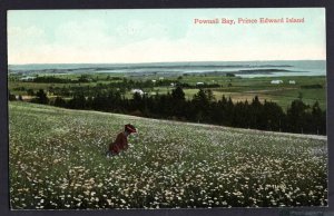 PEI Prince Edward Island POWNALL BAY Pub Valentine & Sons' ~ DB