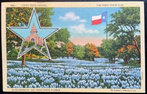 Vintage Postcard 1935 Texas State Capitol, Flag, and State Flower