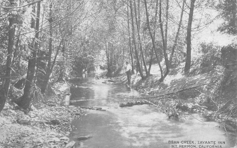 BEAN CREEK Zayante Inn MT. HERMON Santa Cruz Co Felton, CA 1908 Vintage Postcard