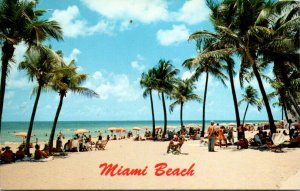 Florida Miami Beach Showing Sunbathers