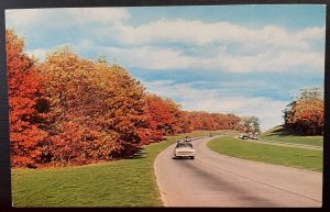 Vintage Postcard 1950-1960's Log Island Parkway, No.  State Parkway, Nassau, NY