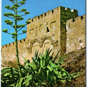 c1970s Jerusalem, Israel Golden Gate Ancient Fortress Ruin Agapanthus 4x6 PC M20