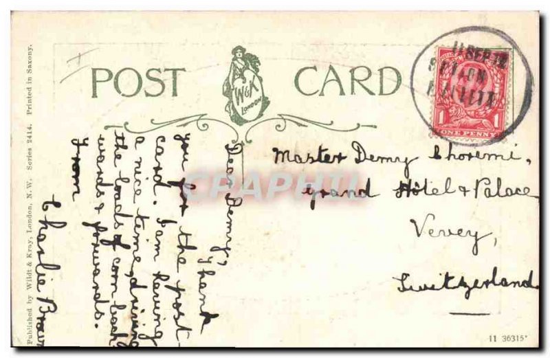 Old Postcard Cat Cats Kitten