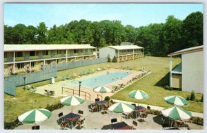 1964 ANNAPOLIS MARYLAND MD CHARTER HOUSE HOTEL SWIMMING POOL VINTAGE POSTCARD