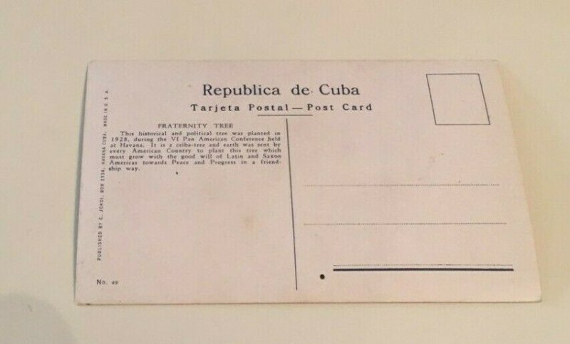 VINTAGE UNUSED POSTCARD PAN AMERICAN FRATERNITY TREE HAVANA CUBA