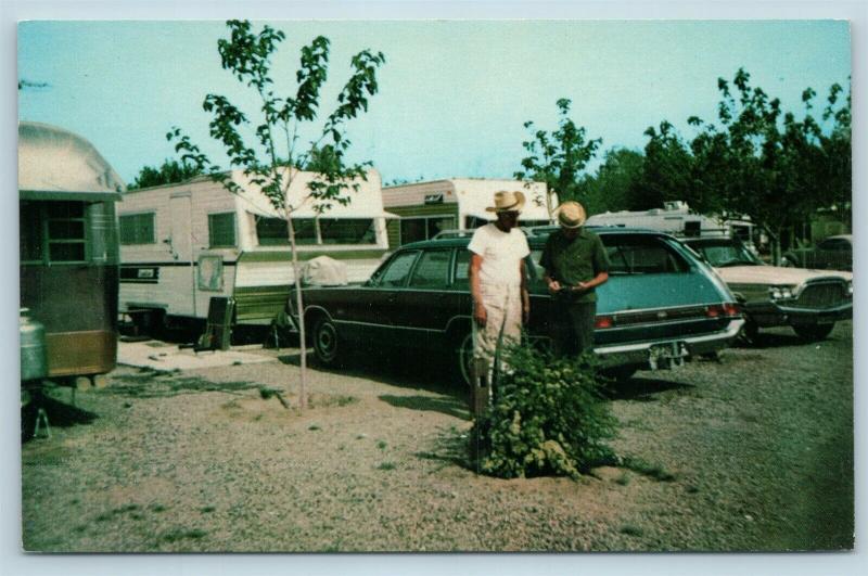 Postcard AZ Tucson Romero Trailer Estates Camping Camp Ground Vintage Q13