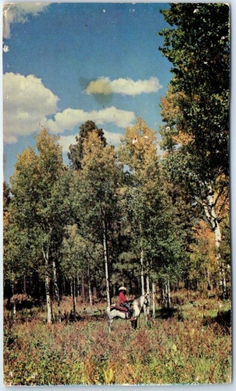 Postcard - Lewis Judd surrounded by Colors of Fall at Alpine, Arizona