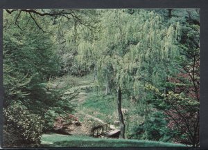 Sussex Postcard - The High Beeches Gardens, Handcross   RR7098