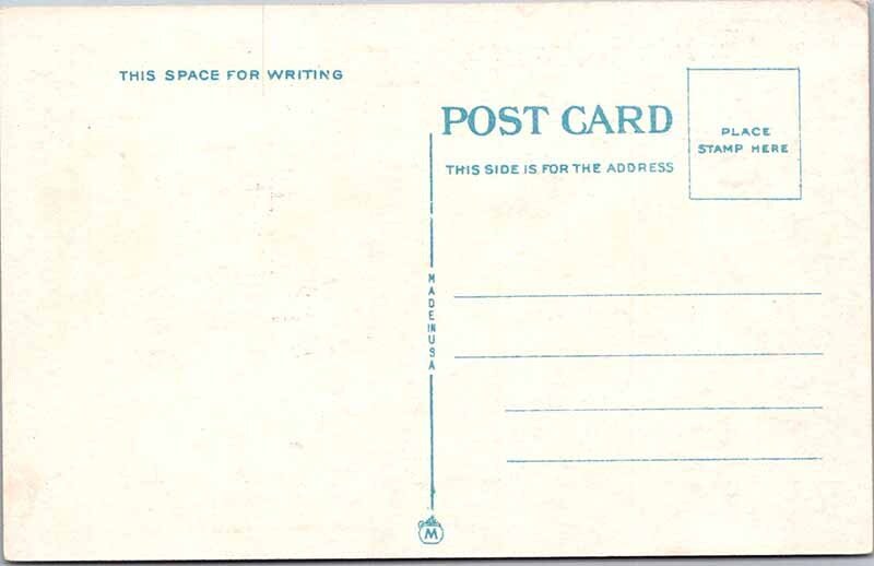 Postcard BANK SCENE Buffalo New York NY AO0900