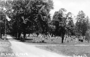 G8/ Alexadria Ohio RPPC Postcard Maple Grove Cemetery c1970 REPRINT 2