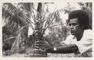 Fiji Man Studying Plantation Vintage PB Postcard Photo