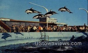 Oceanarium's Top Deck - Marineland, California CA  