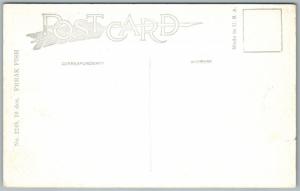 EXAGGERATED FISHING ANTIQUE POSTCARD FREAK FISH