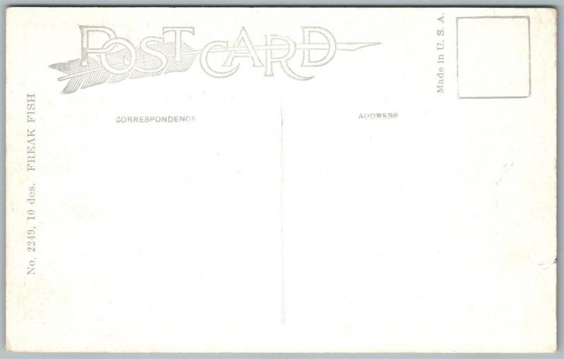 EXAGGERATED FISHING ANTIQUE POSTCARD FREAK FISH