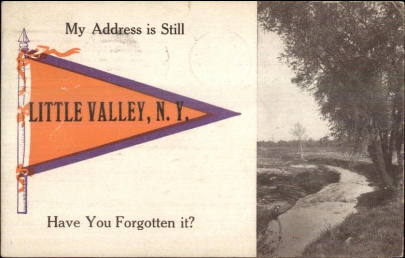 Little Valley NY Pennant Greeting c1915 Postcard