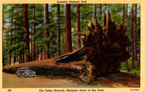 Yosemite National Park, California - The Fallen Monarch, Mariposa Grove - 1951