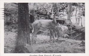 Wisconsin Greetings From Hancock 1947 Real Photo