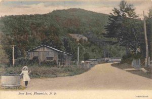 State Road Scene Young Girl Phoenicia New York 1905c hand colored postcard