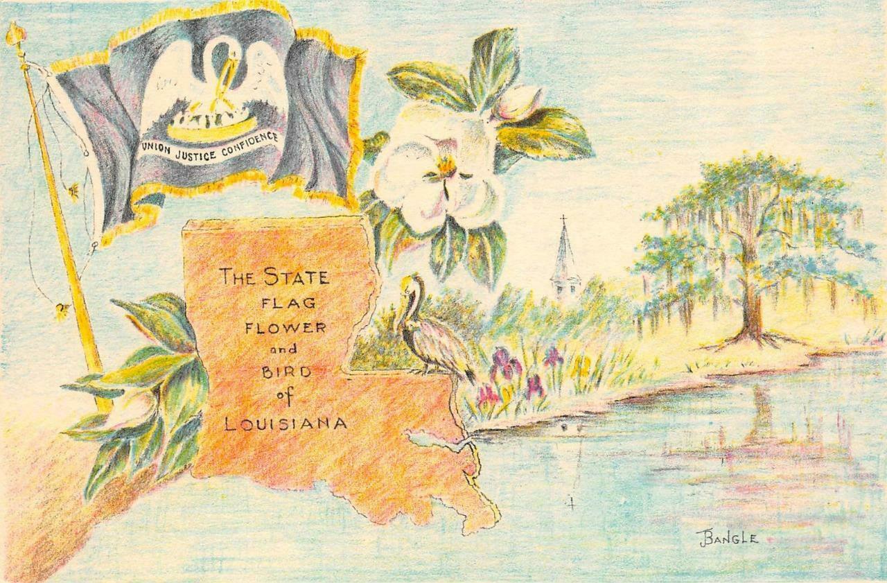 LA, Louisiana STATE FLAGFLOWER & BIRD 1953 BangleArtist Signed