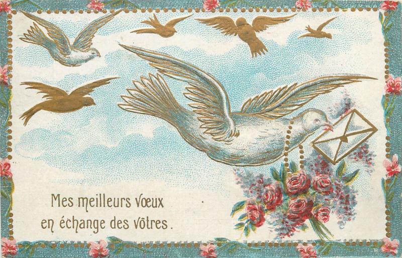 CPA 1907 oiseaux gauffre fleurs fantaisie embossed birds letter flowers fantasy