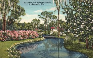 Vintage Postcard River Oak Park Southside Jacksonville Florida Trees Nature
